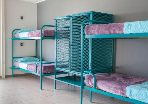three green bunk beds in a room at Auberge Jeunesse Nouméa in Noumea