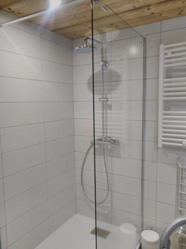 une douche avec une porte vitrée dans une salle de bain dans l'établissement La Résilience - GERARDMER, à Gérardmer