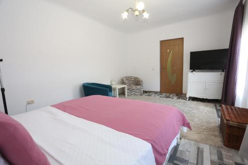 a bedroom with a bed and a flat screen tv at Union Square Apartment 2 in Cluj-Napoca