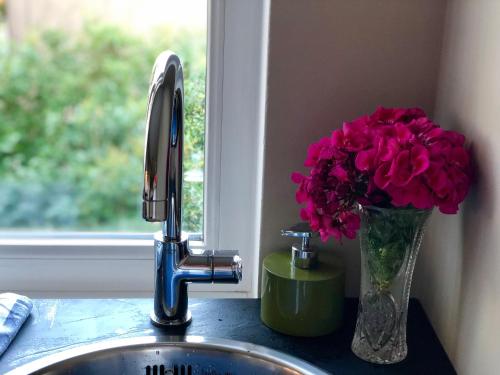 Foto de la galeria de Medus a Ventspils