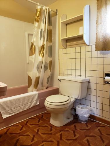 a bathroom with a toilet and a shower at Regent Motel in Saint John