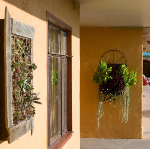 a building with a window and plants on the wall at Sunset Motel Moriarty in Moriarty