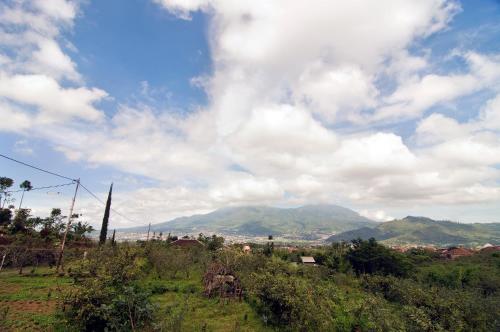 a view of a field with mountains in the background at Villa Mulyono in Batu