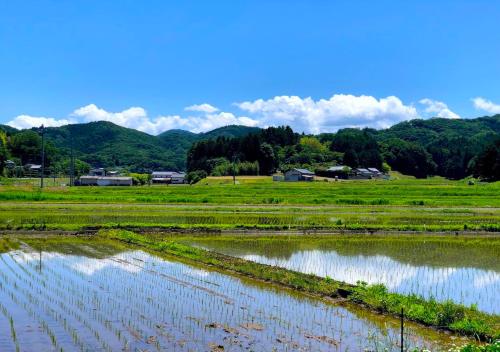 a field with grass and water and mountains in the background at Mashikokan Satoyama Resort Hotel in Mashiko