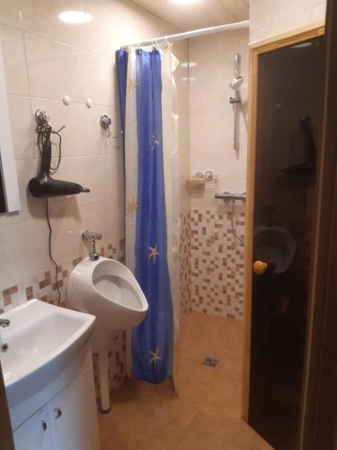 a bathroom with a sink and a toilet and a urinal at Sodyba ,,Nečeskai'' in Biržūnai