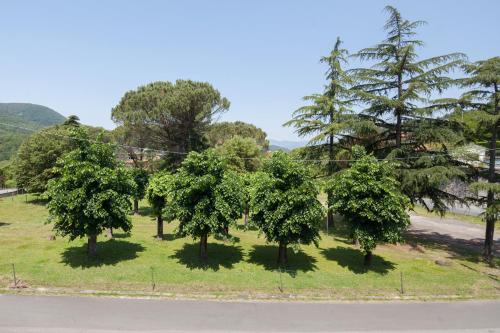 a group of trees in a field next to a road at Hotel Nella in La Spezia