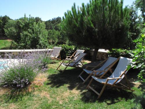 3 chaises longues assises dans l'herbe à côté d'une piscine dans l'établissement A Lagosta Perdida, à Montezinho