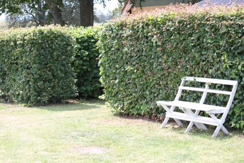 a white bench sitting in front of a hedge at STF Vandrarhem Blentarp in Blentarp