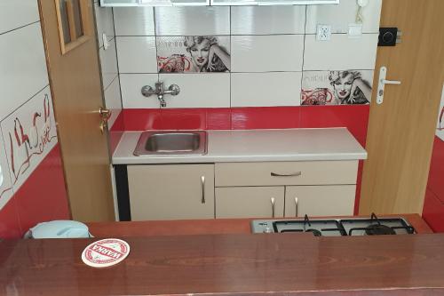 Il comprend une petite cuisine équipée d'un évier et d'une cuisinière. dans l'établissement Apartament MINI CENTRUM, à Szczecin