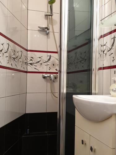 La salle de bains est pourvue d'un lavabo et d'une douche. dans l'établissement Apartament MINI CENTRUM, à Szczecin