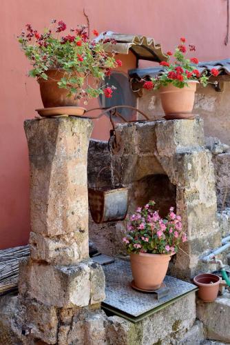 a stone oven with pots of flowers on it at Agriturismo Santa Chiara in Alezio