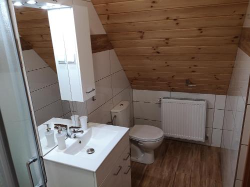 a bathroom with a white sink and a toilet at Pod Kasztanami in Międzylesie