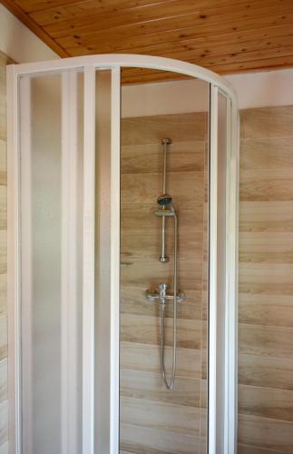 a shower with a glass door in a bathroom at Penzion U Rodinky in Bělá pod Pradědem