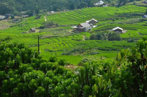 a view of a green hillside with houses at La Beauté Sa Pa in Sa Pa