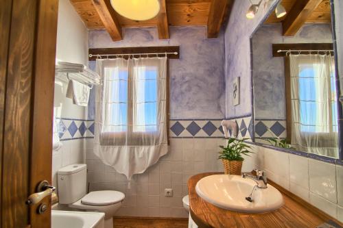 a bathroom with a sink and a toilet and a mirror at Hotel Llano Tineo in Villanueva de la Vera