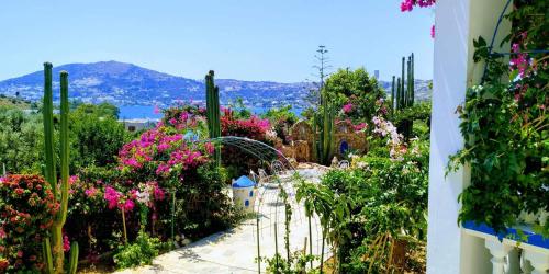 two pictures of a garden with flowers at Angelika in Alinda