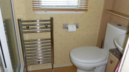 a small bathroom with a toilet and a sink at 28 Borwick Lakes in Carnforth