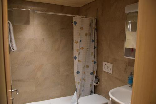 a bathroom with a shower with a toilet and a sink at Chemihüttli Apartments Axalp in Axalp