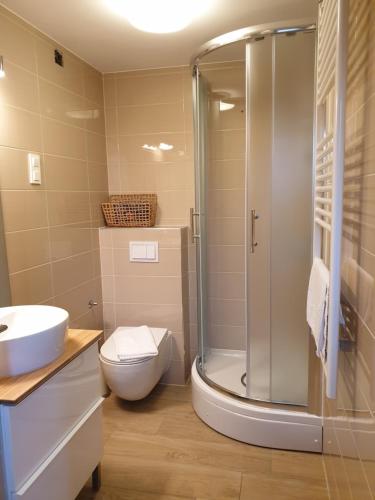 a bathroom with a shower and a toilet and a sink at Apartments Ziher in Zagreb