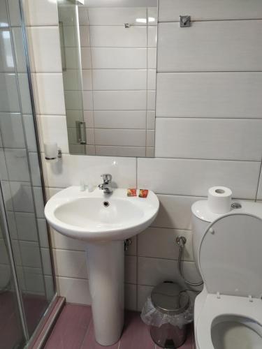 a bathroom with a sink and a toilet and a mirror at Mavroforos Hotel in Agios Nikolaos