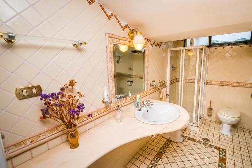 a bathroom with a sink and a toilet and a mirror at Belvedere di Gloria in Tramonti