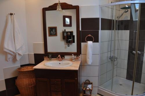 a bathroom with a sink and a shower with a mirror at Casa Veveritelor in Predeluţ