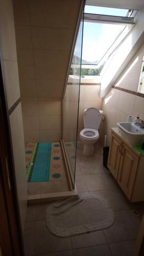 ein Bad mit einer Dusche, einem WC und einem Waschbecken in der Unterkunft Widok Tresna in Tresna