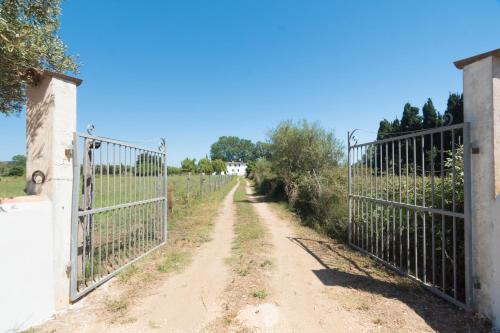 a fence on a dirt road next to a field at Sa lampana in Orosei