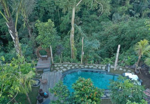 a swimming pool in the middle of a forest at Mirah Guest House in Tampaksiring