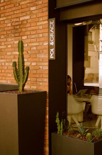 a cactus in a pot in front of a store at Pol & Grace Hotel in Barcelona
