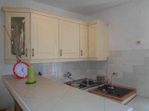 Cozy Studio-apartment Gordana in Rovinj city center