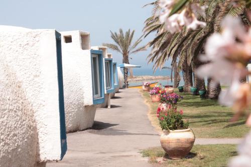 a sidewalk next to a building with flowers in pots at Dor village in Dor