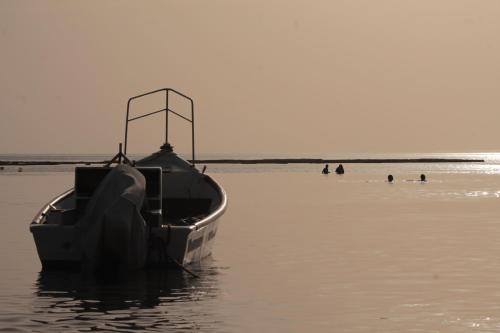 a boat sitting on the shore of a beach at Dor village in Dor