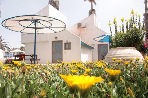 a garden with yellow flowers and an umbrella at Dor village in Dor