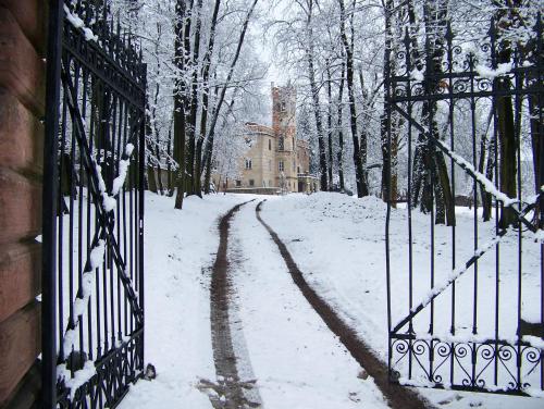Pałac Dąbrowica v zimě