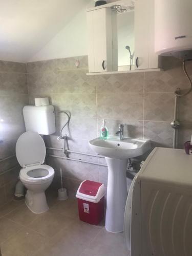 a bathroom with a white toilet and a sink at Guest House Kollata in Vusanje
