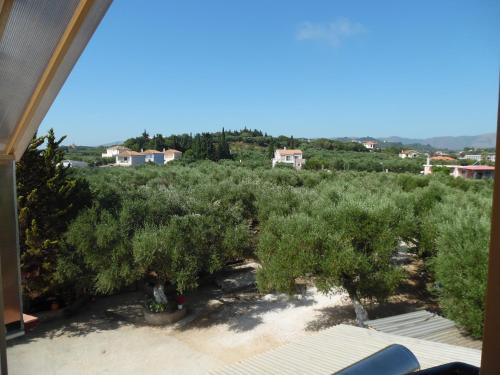 a view from the balcony of a plantation of olive trees at Soso's Sea View Apartment in Plános