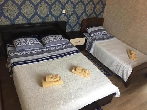 Postel nebo postele na pokoji v ubytování Guest House Loza
