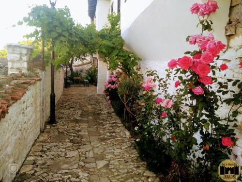 Zahrada ubytování Bed & Breakfast JOSIPH