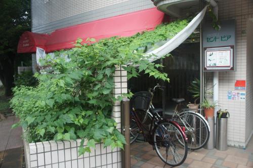 Montar en bicicleta en Hotel Sentpia o alrededores