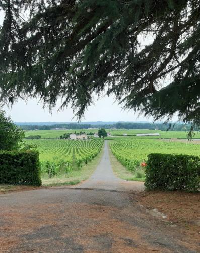A L'OMBRE DE LA TREILLE -Proche Saint-Emilion