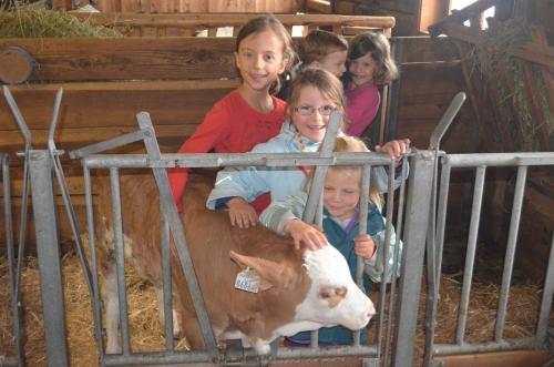a group of children standing next to a cow at Appartements Obergollerhof in Assling