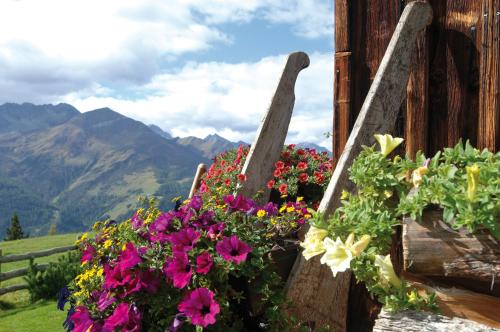 a bunch of flowers on the side of a building at Appartements Obergollerhof in Assling