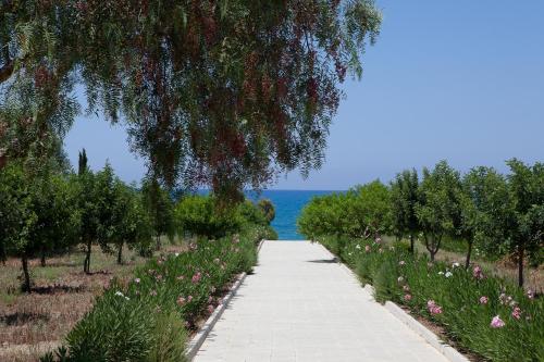 a pathway leading to the ocean with flowers and trees at Eliofos Elegant Maisonettes in Polis Chrysochous