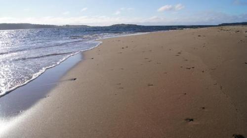 a beach with footprints in the sand and water at The Fiddle and the Sea Bed and Breakfast in Port Hood