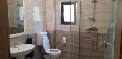a bathroom with a toilet and a sink and a shower at Casa Davideea in Colibiţa