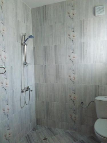 a bathroom with a shower and a toilet in it at Fenix Rooms in Arbanasi