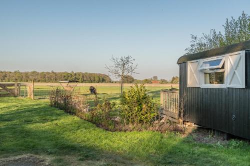 a tiny house in a field with a dog in the background at Pipowagen Lidewei Groningen Westerwolde unieke ligging met eigen tuin en vrij uitzicht over veld naar natuurgebied in Onstwedde