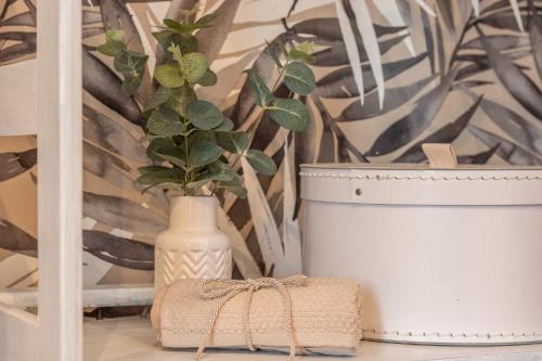 a plant in a vase sitting next to a pot at House Garden Loft in Baricella