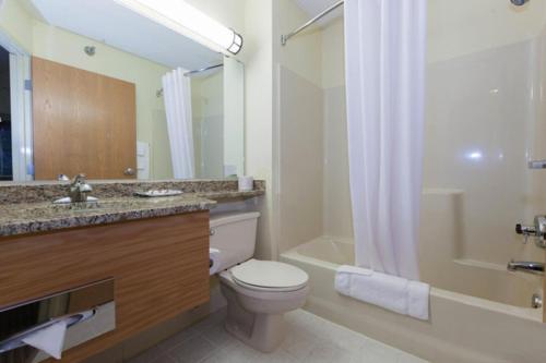 a bathroom with a toilet and a sink and a shower at Country Inn Two Harbors in Two Harbors